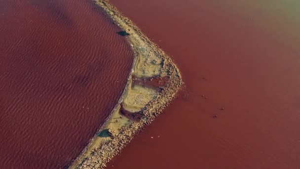 Parte superior costa panorámica de agua rosa que refleja la luz del sol de oro. Isla Mineral — Vídeo de stock