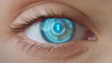 Macro eye financial system projection displaying important information in graphs