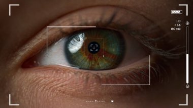 Macro eye recognition system checking user retina taking shot verifying