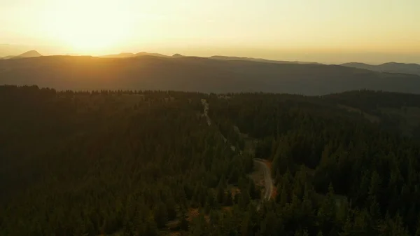 Drone sunset in mountain forest view against bright orange sun at golden sky — Stock Photo, Image