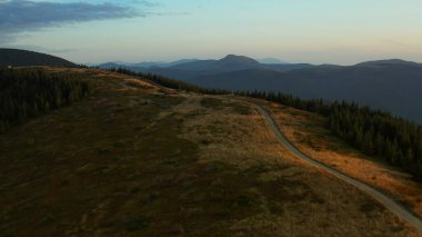 Drone green mountain path view with amazing spruces growing agains sunset sky