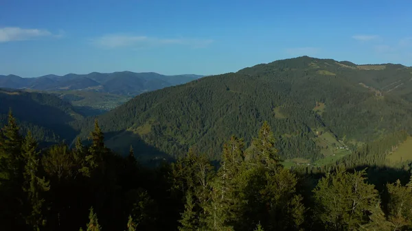 Drone morning in mountains green beautiful trees forest cloudless sky background —  Fotos de Stock