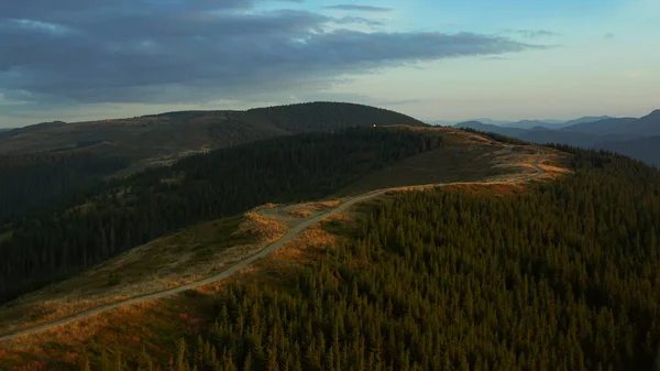 High hills path drone view among tranquil green sequoia trees growing mountains —  Fotos de Stock