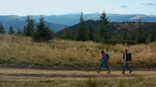 Dos personas trekking colinas explorando tierras de montaña entre bosques de abetos verdes — Foto de Stock