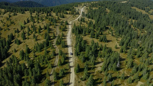 Drone mountain path view through sequoia trees growing summer day hills panorama —  Fotos de Stock