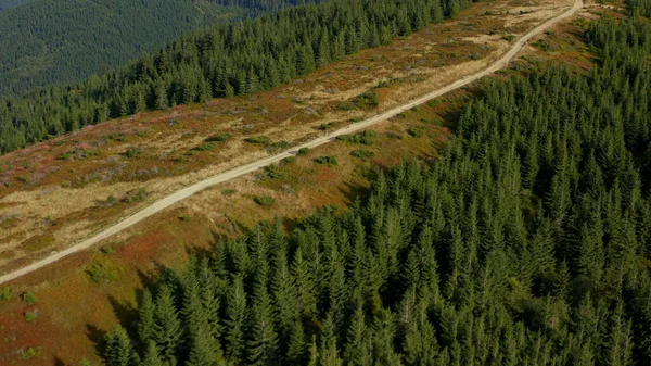 Hilly road trees surrounding amazing summer national park woods way landscape —  Fotos de Stock