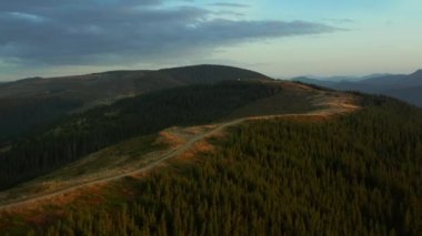 High hills path drone view among tranquil green sequoia trees growing mountains