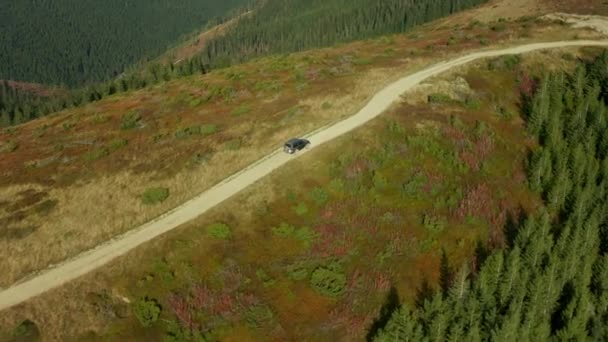 Mountain car roadtrip aerial view small curvy road among trees sunny day — Vídeos de Stock