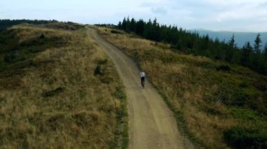 Drone mountains biking male among charming green spruces against cloudy sky