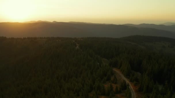 Aerial mountain sunrise view against golden morning sky green trees road scene — стоковое видео