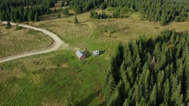 Drone view mountain barn road path among green spruce trees sunny warm day — Vídeo de stock