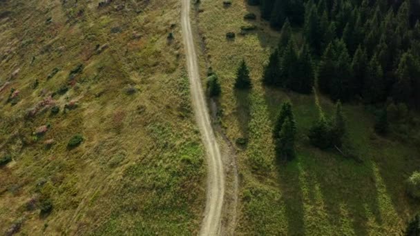 Aerial rocky woods road view among green spruce trees growing grassy hills — Stockvideo