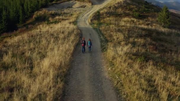 黄色の草の間を歩くカップルトレッキング森林道路の空中ビュー暖かい日 — ストック動画