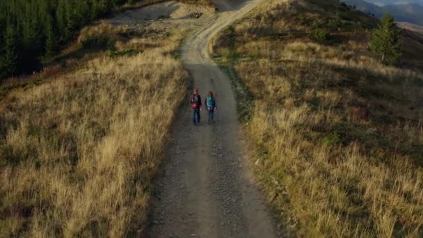 Couple trekking forest road aerial view walking among yellow grass warm day — Video Stock