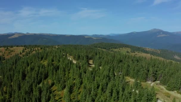 空中の森の丘は青い朝の空の風景に対する魅力的な緑の森を見る — ストック動画