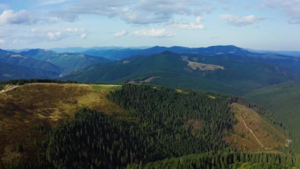 Stunning mountain forest panorama against charming cloudy sky national park — Vídeo de Stock