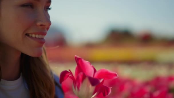 Крупним планом жінка дивиться на свіжу весняну квітку. Щаслива жінка тримає червоний тюльпан — стокове відео