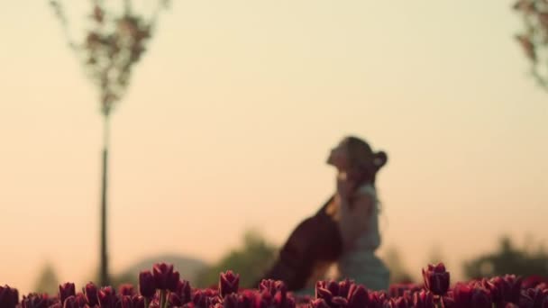 Geïnspireerd muzikant vrouw spelen contrabas in bloementuin in de ochtend licht. — Stockvideo