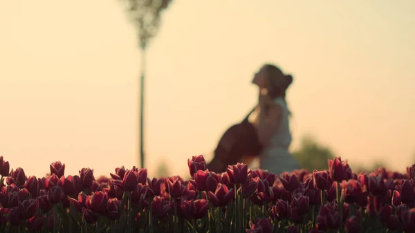 Inspirado músico feminino tocando contrabass no jardim de flores na luz da manhã. — Fotografia de Stock