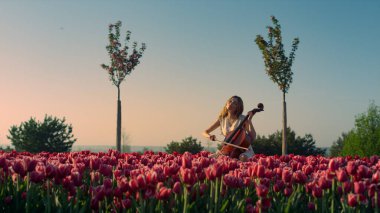 Young woman playing cello with inspiration in blooming tulip field