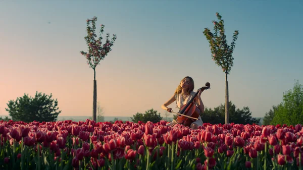 Young woman playing cello with inspiration in blooming tulip field — 图库照片