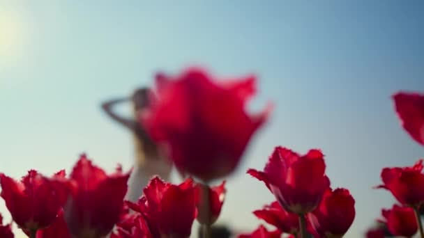 Close up unknown girl on red flowers background. Beautiful red tulips closeup. — ストック動画