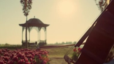 Enthusiastic cello player rehearsing performance in red flower garden outdoors.