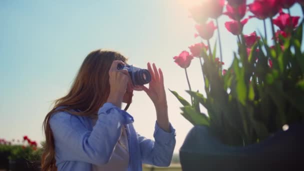 Closeup woman taking tulip photo in sunshine. Unrecognizable girl enjoying hobby — ストック動画