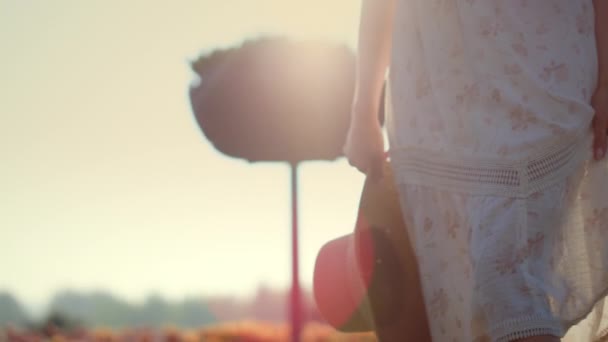 Unknown woman walking in spring park in golden hour. Young lady legs walking. — Stockvideo