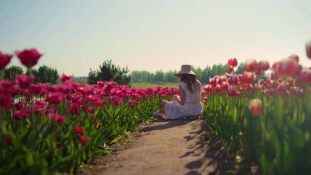 Camera moving along road in red tulips field with girl in hat sitting in flowers — Stock Video
