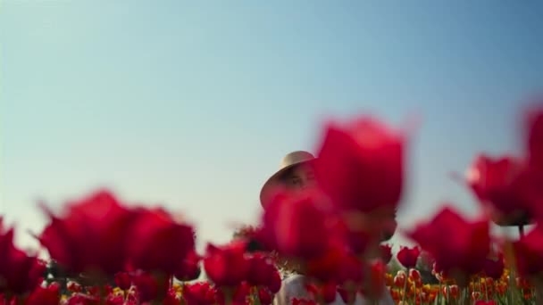 Jovem mulher tirando fotos de flores. Mulher fotógrafa sentado no prado. — Vídeo de Stock