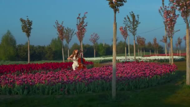 花の分野で楽器を演奏する女の子。音楽を作るインスピレーションを受けた女性. — ストック動画