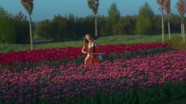 Onherkenbare jonge vrouw speelt vioolcello in bloeiende veld in de lente. — Stockvideo