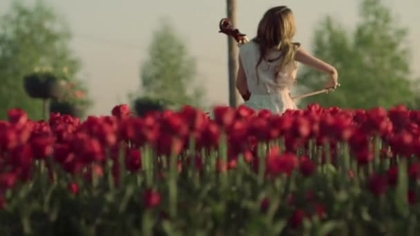 Visszapillantás felismerhetetlen nő csellóval ül a tavaszi kertben szabadban. — Stock videók