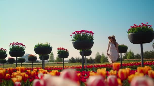Belo jardim de tulipas com botões de flores brilhantes no fundo do céu azul. — Vídeo de Stock