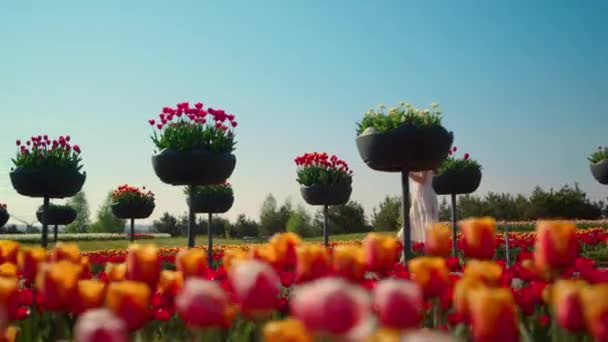 Donna sconosciuta in abito camminare attraverso luminoso giardino estivo in fiori in fiore — Video Stock
