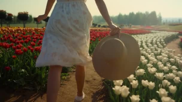 チューリップ畑を走っている認識できない女の子。公園で走る若い女性の足. — ストック動画
