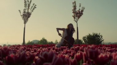 Unknown girl playing cello in amazing tulip field in bloom. Blooming garden 