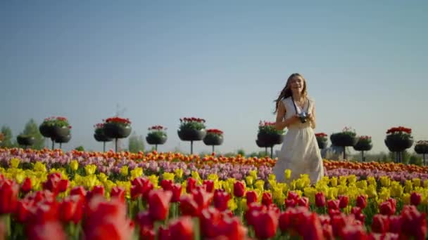 Młoda dama z aparatem robi zdjęcie pięknych tulipanów. Dziewczyna spacery w parku. — Wideo stockowe