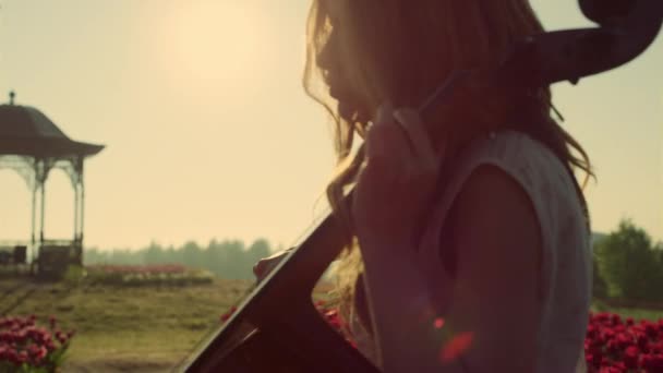 Woman playing cello in summer park in sunshine. Young artist rehearsing outdoors — Stockvideo