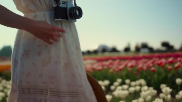Szekrény gyönyörű nő fordul körül tulipán mező. Pozitív lány mosolyog. — Stock videók