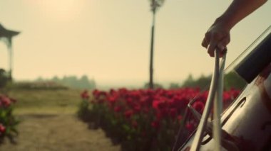 Closeup strings with bow in woman hands. Passionate girl playing cello outdoors.