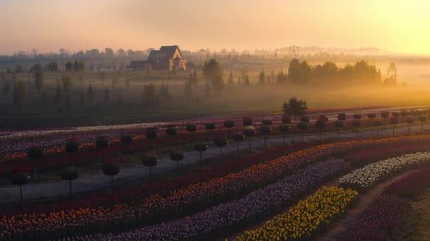 Ochtendmist in de tuin met gezellig gebouw bij zonsondergang licht. Hemelzicht op zonsopgang — Stockvideo