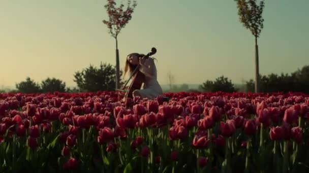 Flower garden with unknown young woman with cello in morning. — Vídeo de stock