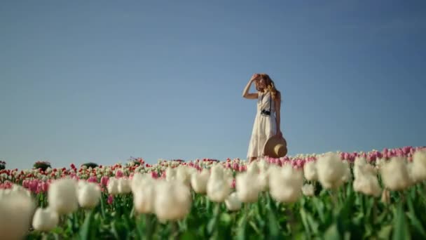 Camera tracking around young woman with camera enjoying sunny day in tulip field — Stock videók