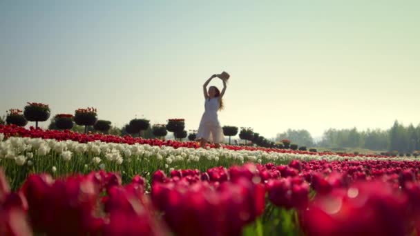 Счастливая женщина наслаждается цветами на тюльпановом поле. Молодая женщина бегает в парке тюльпанов. — стоковое видео