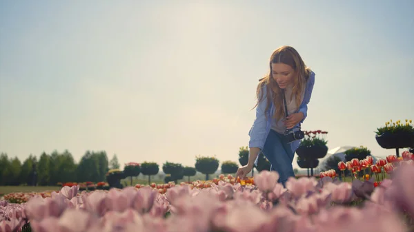 Happy woman touching flowers at walk with camera in tulip field in sunny day. — Photo