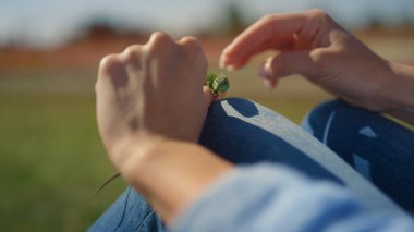 Kadın ellerinde yakın plan kertenkele. # Kapatın vahşi hayvanları kadın parmaklarıyla #.