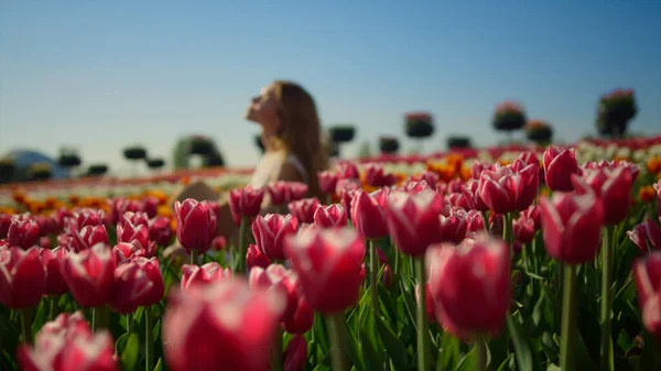 Неузнаваемая женщина, сидящая в саду тюльпанов. Неизвестная женщина чинит волосы на улице — стоковое фото