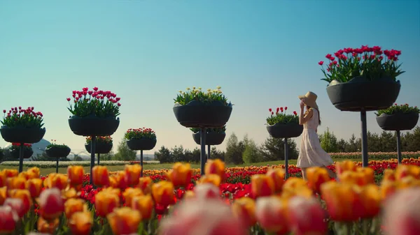 Κάμερα κινείται μέσα από κήπο λουλουδιών κάτω από μπλε ουρανό. Σιλουέτα άγνωστης γυναίκας. — Φωτογραφία Αρχείου